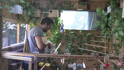 Kuş Sevgisi Ek Gelir Kapısı Oldu