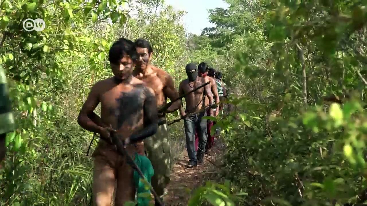 Reporter - Unser Land! Brasiliens Guajajara-Krieger | DW Deutsch