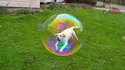 15 Momen Foto Paling Pas yang Pernah Ada