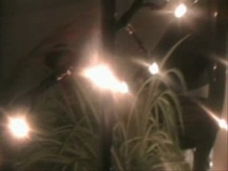 Lecorum Hide Away Spanish