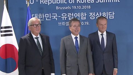 靑 "한·EU 공동성명 채택 보류, 북한 때문 아냐" / YTN