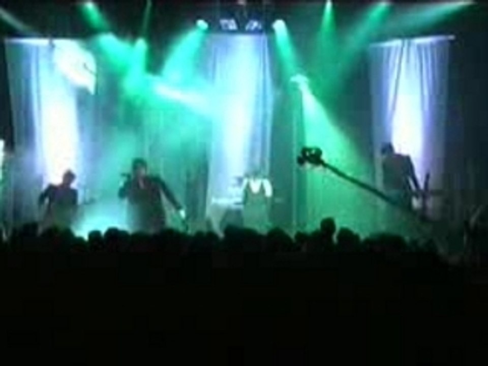 Lame immortelle aus den ruinen