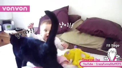 Kelab kucing pengasuh bayi!! Kikiki. Siapa nak join?