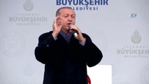 Cumhurbaşkanı Erdoğan, 