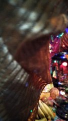 Ganpati bappa moriya