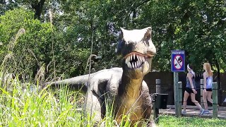 DINOSAURS COME ALIVE in his DREAMS! (Shawn goes to Dino Land)