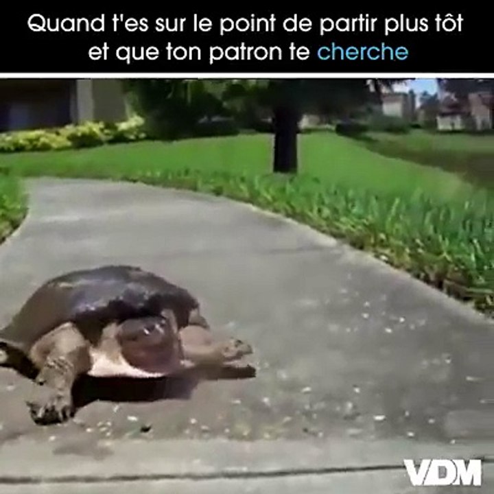 Comme quoi, pour éviter ton boss tu sais aller vite !