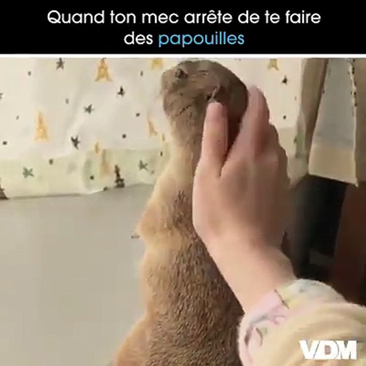 Qui t'as dit qu'il fallait arrêter ?