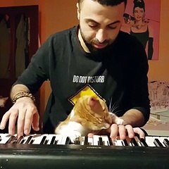 hopeless romantic - aww