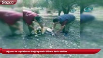 Ağzını ve ayaklarını bağlayarak ölüme terk ettiler