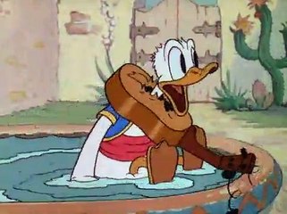 Donald Duck - Don Donald