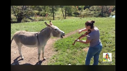 Miren Que Belleza De La Naturaleza Hasta El Burro Canta  ( Look What Beauty Of Nature Until El Burro Canta