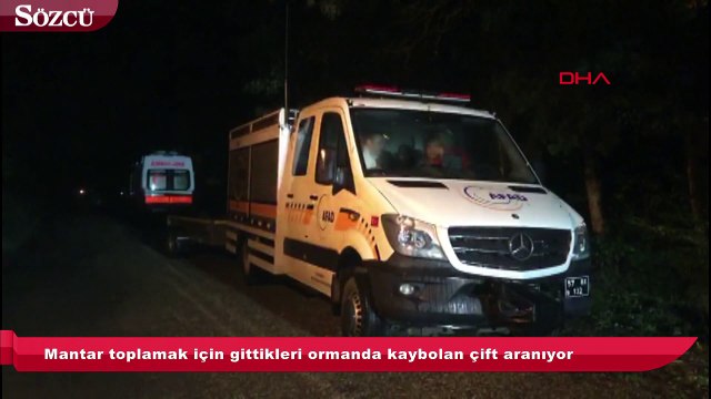 Mantar toplamak için gittikleri ormanda kaybolan çift aranıyor