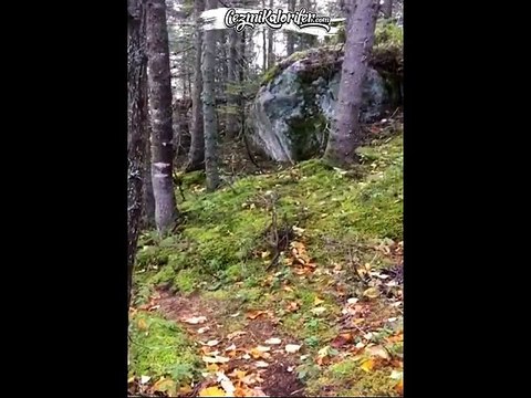 Doğa Ananın Nefes Alıp Verişi