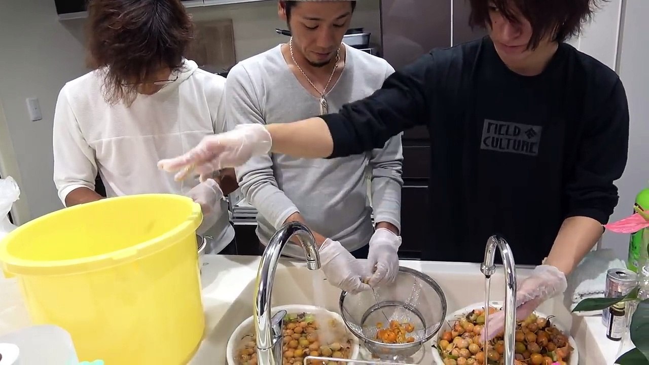 銀杏の下処理は地獄！！！