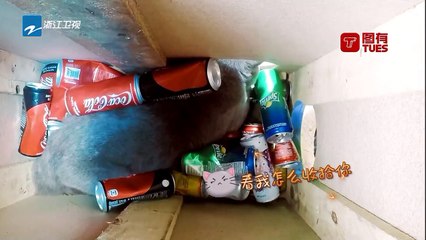 米亚熟练的进行垃圾分类 小天闯进民宿捣乱让人头疼《神奇伙伴在哪里》EP7 20181021 精彩花絮[浙江卫视官方HD]