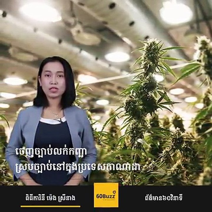 ចេញ​ច្បាប់​លក់​កញ្ឆា​ ស្របច្បាប់​នៅ​ក្នុង​ប្រទេសកាណាដា#KohSantepheap60Buzzព័ត៌មានលំអិត៖  Subscribe YouTube Channel:
