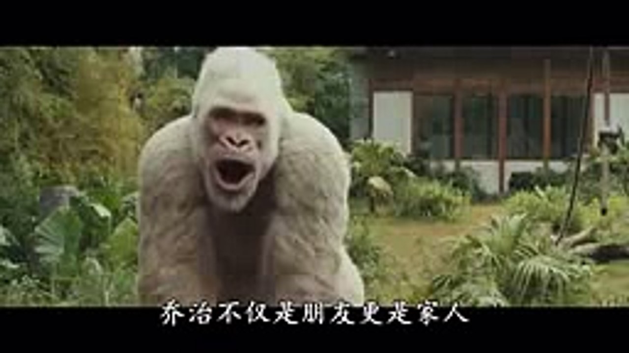 【电影间谍】1分钟告诉你道恩·强森的《狂暴巨兽》适合什么样的人去电影院看