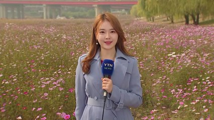 [날씨] 내륙 구름 많고 선선...경기·충청 미세먼지 / YTN