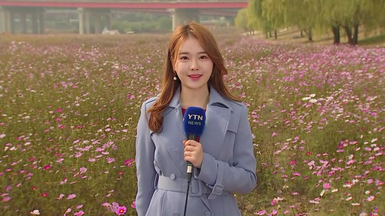 [날씨] 내륙 구름 많고 선선...경기·충청 미세먼지 / YTN