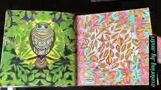 Secret Garden coloring book (completed)