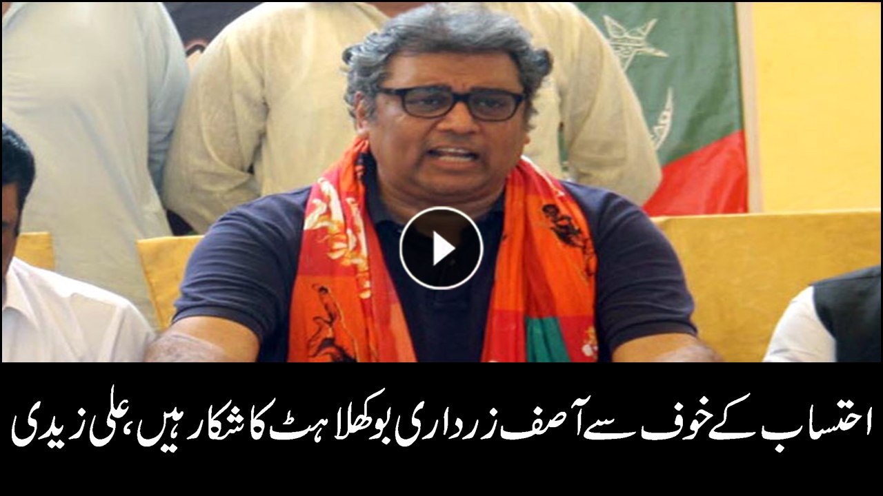 Asif Ali Zardari frightened of accountability, says Ali Zaidi