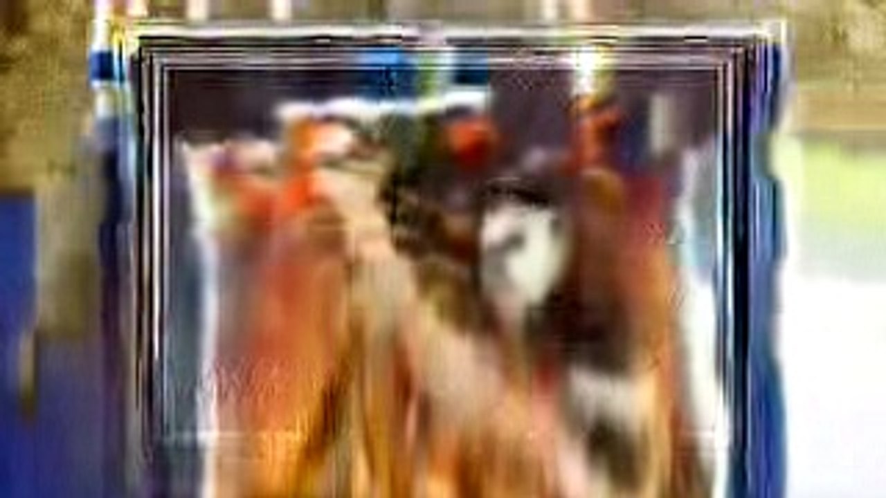 《斗罗大陆》唐三有过几段桃花？最爱小舞，最后一个想不到 (1)