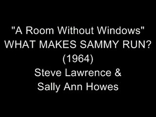 A Room Without Windows