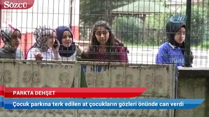 Çocukların gözü önünde dehşet verici ölüm