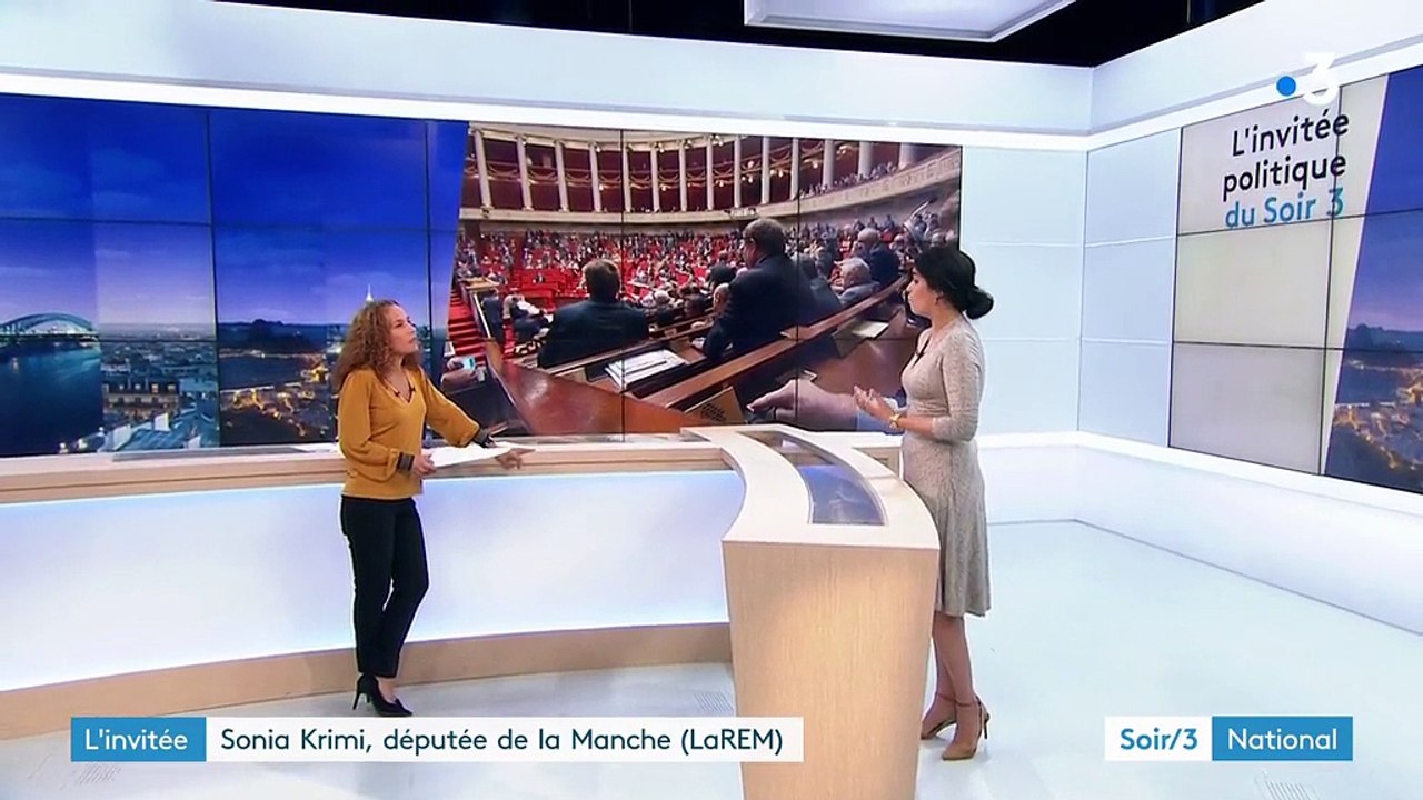 Les députés LREM "ni frondeurs ni godillots", se félicite Sonia Krimi