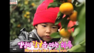 Lee Haru reacts || Sour Tangerine - Tablo Lee Haru