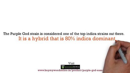 Purple God Bud strain