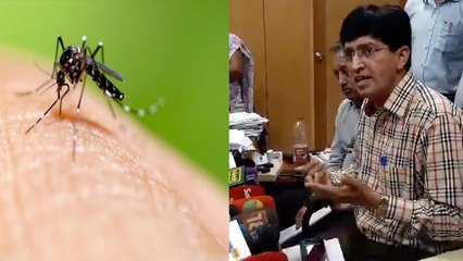 டெங்கு காய்ச்சலுக்கு இரட்டை குழந்தைகள் பலி- வீடியோ