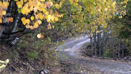 Tunceli'de Sonbahar Kartpostallık Görüntüleri Beraberinde Getirdi