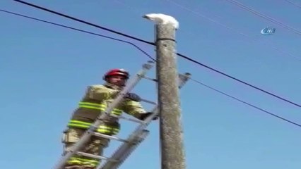 Direkte mahsur kalan 'Kartopu’nu itfaiye kurtardı