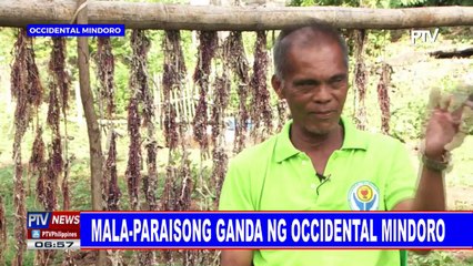 Ang mga paraiso sa Occidental Mindoro