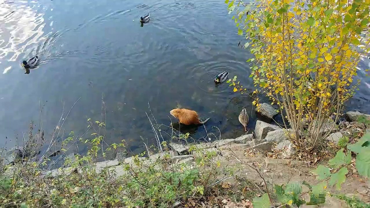 Walk along the river
