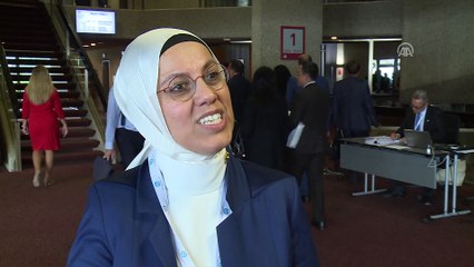 'BM'nin masaya yumruğu vuracak durumu yok' - CENEVRE