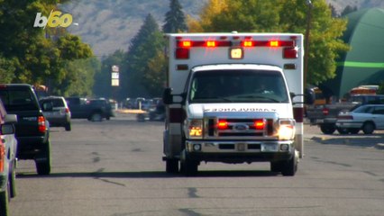 Tortoise Rescued by Paramedics After Roaming Alongside the Road