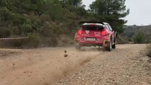 RallyRACC 2018 - Test Craig Breen- Scott Martin