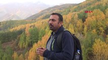 Tunceli Türkiye'nin En Güzel Sonbahar Manzarasını İzlemek İçin Tunceli'ye Akın Ettiler-2