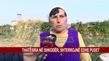 THATËSIRA NË SHKODËR, SHTERROJNË EDHE PUSET