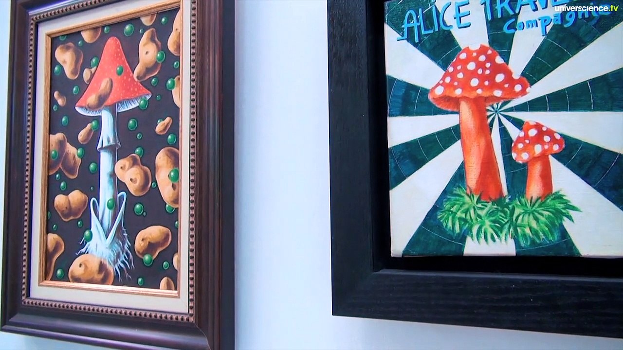 Sous influences, arts plastiques et psychotropes