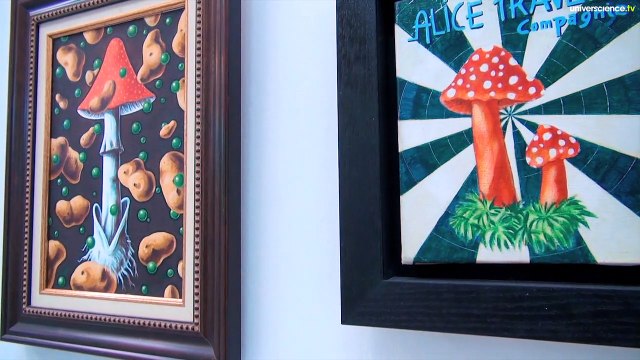 Sous influences, arts plastiques et psychotropes