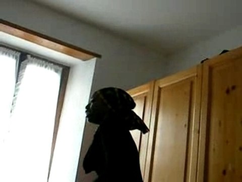 muzik dancehall soul freestyle(la family 971)