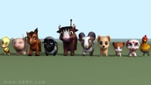 Phim hoạt hình về động vật vui nhộn