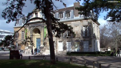 Zarafa, la véritable histoire