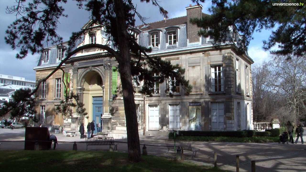 Zarafa, la véritable histoire