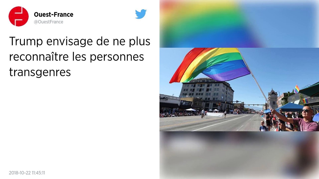 Trump envisage de ne plus reconnaître les personnes transgenres.  L’administration Trump envisage de revoir sa politique sur l’identité sexuelle. Elle serait seulement définie par les organes sexuels à la naissance et exclurait donc les personnes transgen