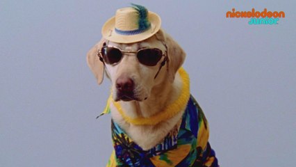 Zoofari | Safarythme ! | NICKELODEON JUNIOR